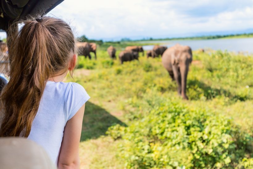Sri-Lanka-little-girl-on-safari-observing-elephants-from-open-vehicle