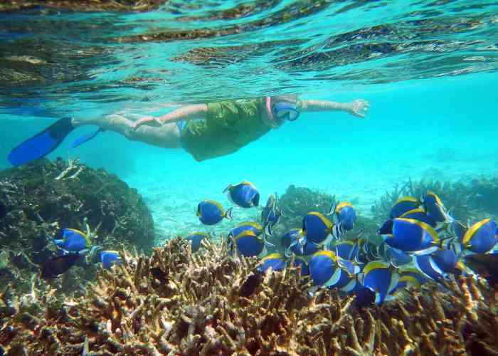 pigeon-island-snorkeling-tour
