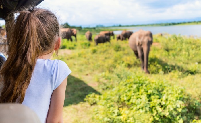 udawalawe safari from mirissa