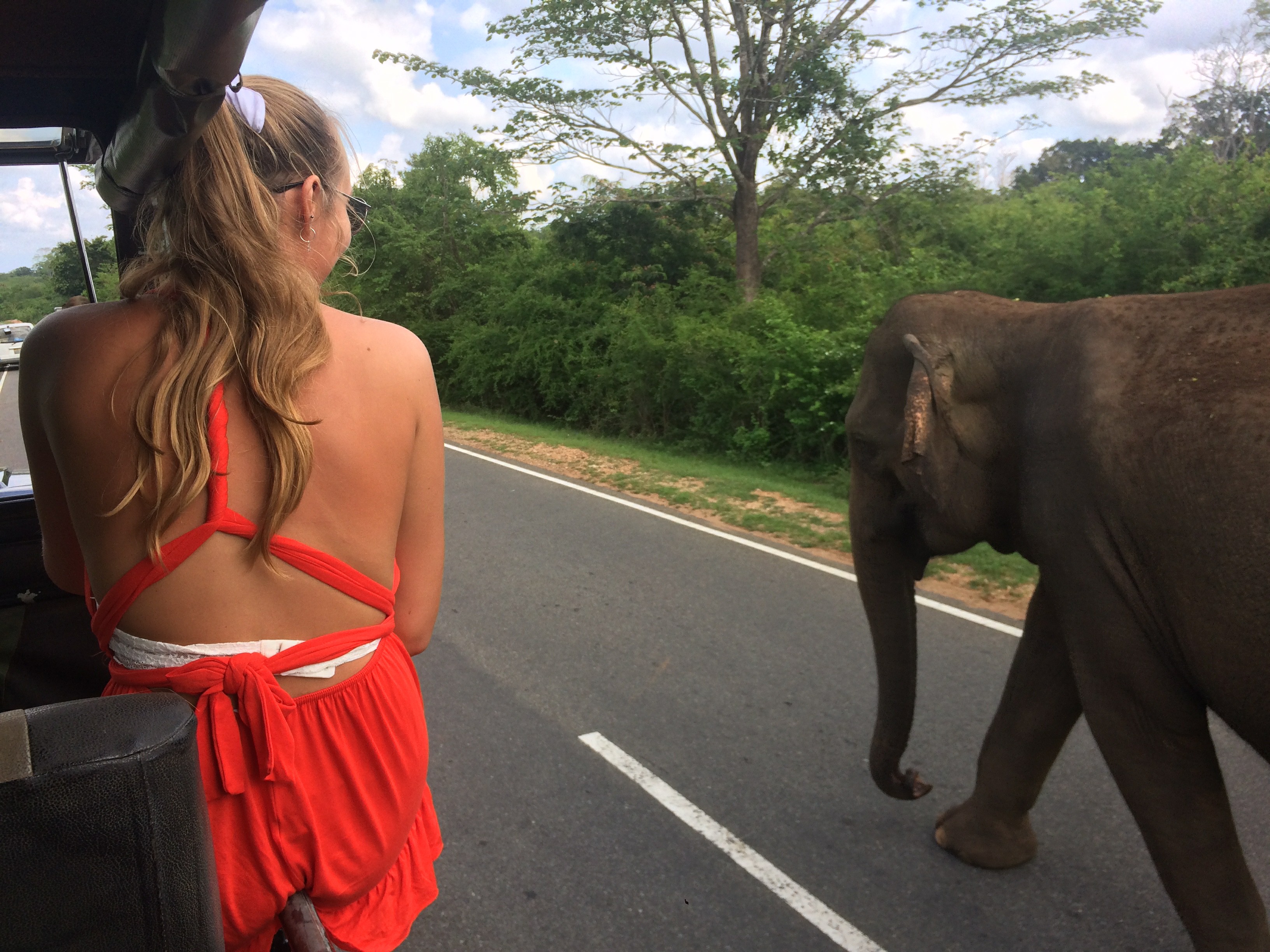 yala national park from mirissa