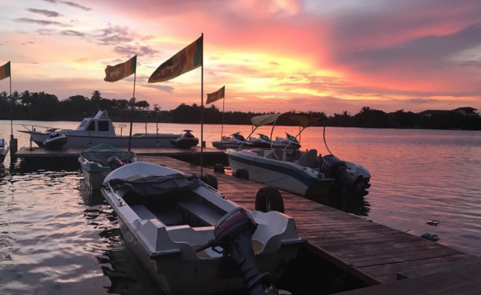 bentota river boat safari