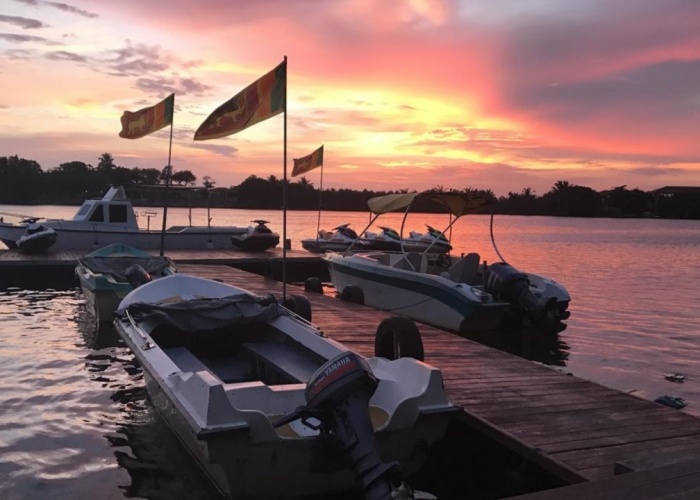 bentota river boat safari