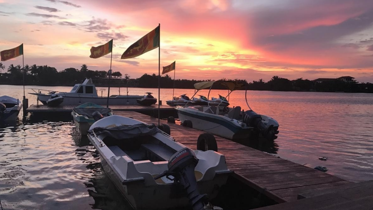 bentota river boat safari