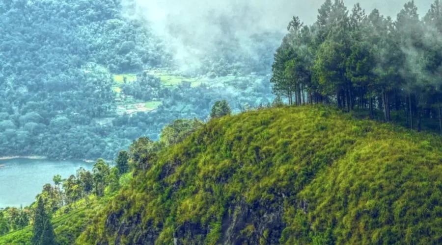 day trips from nuwara eliya