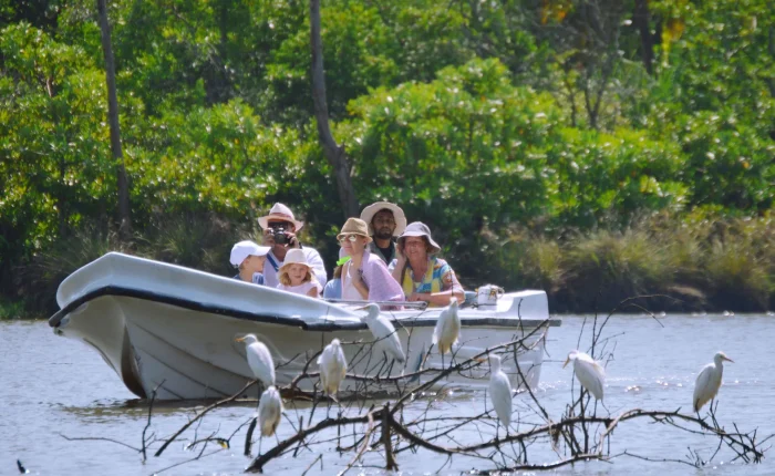 negombo lagoon boat ride