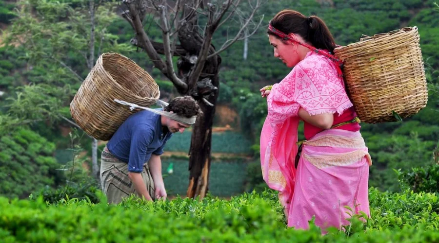 nuwara eliya one day trip