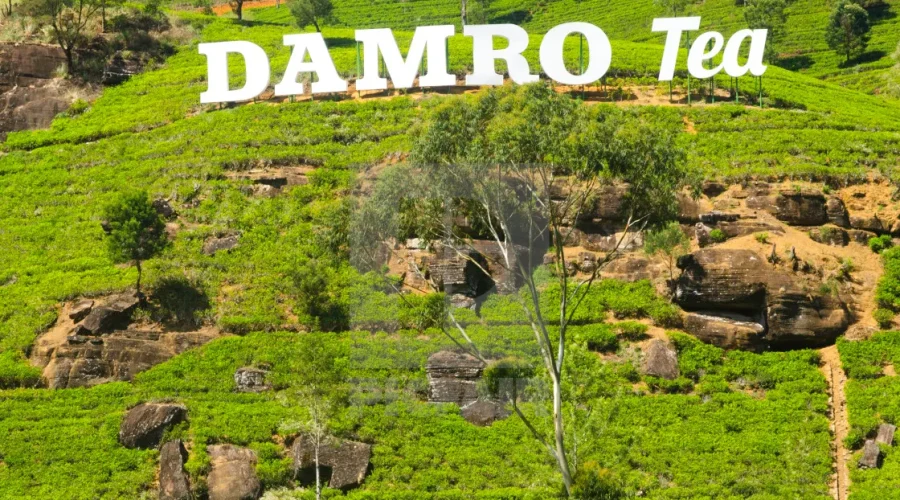 peacock hill sri lanka