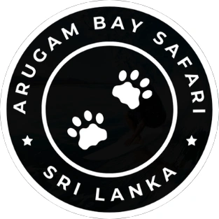 Arugam-Bay-Safari